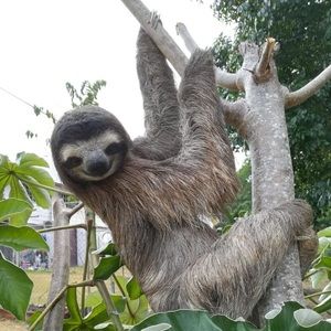 Meet your Posher, Tate